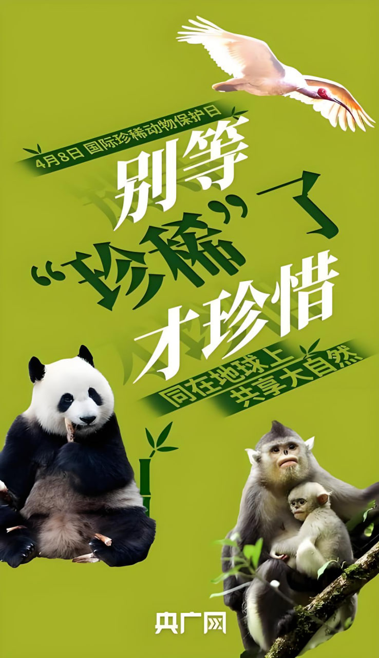 最新电影4